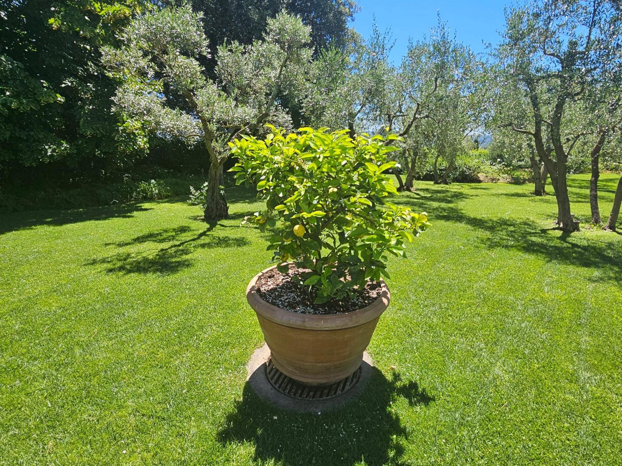 Villa Il Pino Florencie Exteriér fotografie